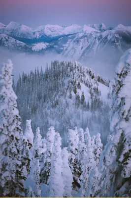 Горы зимой: лучшие идеи для поездки | Открывай Россию с Алеан | Дзен