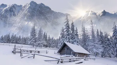 Картинка зима. Горы, дом, солнце, зима, сугробы, лес, снег, елки. |  Пейзажи, Зимний дом, Лес