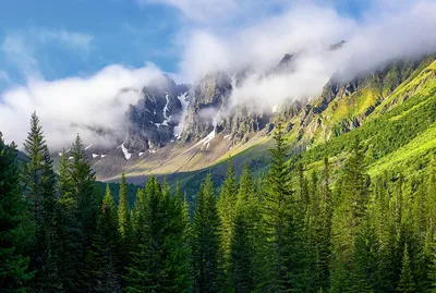 Самые красивые горы России, доступные для восхождения — Суточно.ру