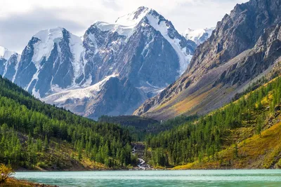Алтайские горы (Алтай): происхождение, факты, что посмотреть, советы  туристам | Большая Страна