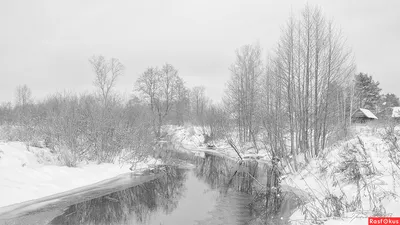 Лицо Грусть Зима - Бесплатное фото на Pixabay - Pixabay