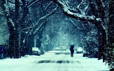 Зима - грусть... Фотоэтюды: Персональные записи в журнале Ярмарки Мастеров