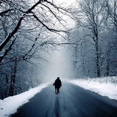 Про деревенскую грусть и начало зимы... 12 фото | Дурушка вяжет. Живу.  Люблю. | Дзен