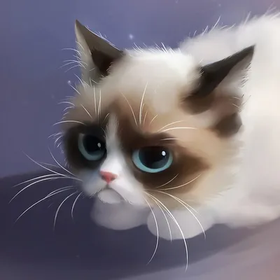 Топ-5 самых грустных котов Интернета | Новости CTC Love