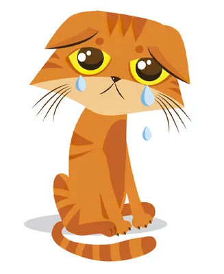 Кронштейн для iPhone 14 с мультяшным принтом грустного кота | AliExpress