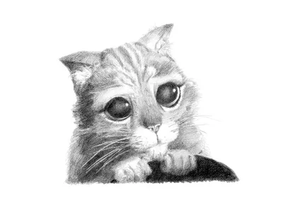 🐱мир котов 🐱 милый грустный, …» — создано в Шедевруме
