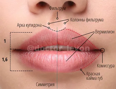 Увеличения губ гиалуроновой кислотой - 7 «нельзя» после процедуры
