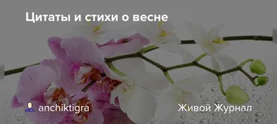 Шкатулка почемучек: Проба пера.Стихи о весне.