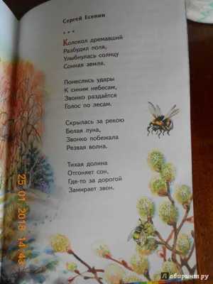 Иллюстрация 13 из 58 для Весна на дворе. Стихотворения русских поэтов -  Тютчев, Бунин, Майков | Лабиринт -