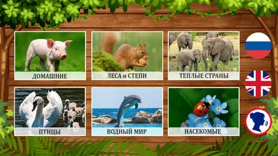 Животные для детей и их звуки — играть онлайн бесплатно на сервисе Яндекс  Игры