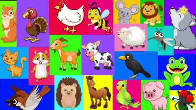 Как говорят животные Песенка для Детей Звуки животных для самых маленьких -  YouTube