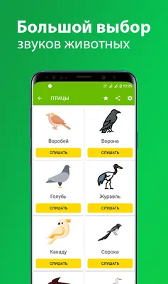 Звуки животных для малышей – скачать приложение для Android – Каталог  RuStore