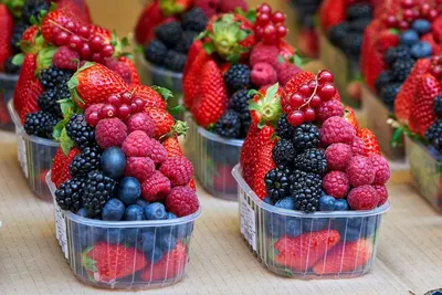 Сроки сбора ягод и плодов установлены в Якутии - Новости Якутии -  Якутия.Инфо