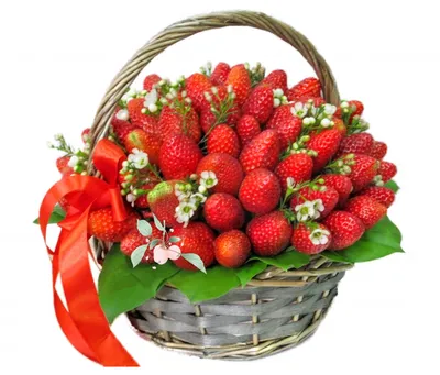Ёмкость для сбора ягод декор М4690 – купить по цене производителя