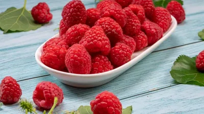 Лесные ягоды крымский чай из лесных ягод купить в интернет-магазине Floris