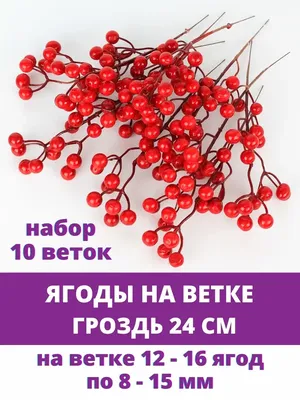 Ягоды. Купить замороженные продукты с доставкой на дом в Германии |  Posylka.de