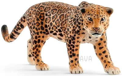 Детеныш ягуара 3D модель - Скачать Животные на 3DModels.org