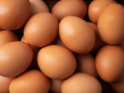 Россельхознадзор разрешил поставки яиц из Турции – Агроинвестор