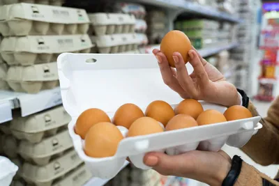 Не робкий десяток: чем опасны неправильно приготовленные яйца | Ветеринария  и жизнь