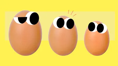 Д», «СВ», «СО» и другие категории яиц: в чем разница и как выбрать, если на  вид они все кажутся одинаковыми — Журнал Едадила