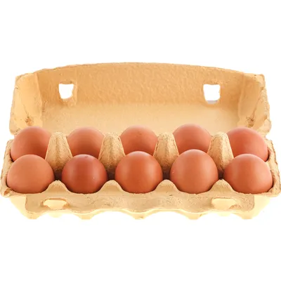 Яйца: польза и вред для организма мужчин, женщин, детей