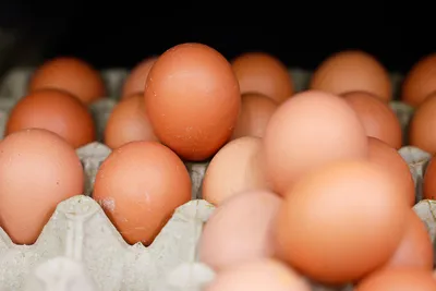 Яйца ПРОСТО С0 10шт - отзывы покупателей на маркетплейсе Мегамаркет |  Артикул: 100029934637