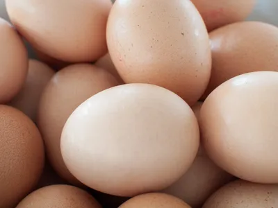 Яйца белые куриные, домашние 30 шт в Fruitonline