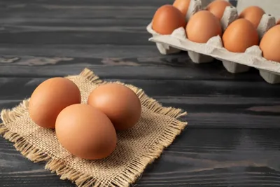 Удмуртия впервые экспортировала яйца в ОАЭ – Агроинвестор