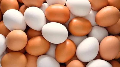 Почему подорожали яйца: все причины стремительного роста цен