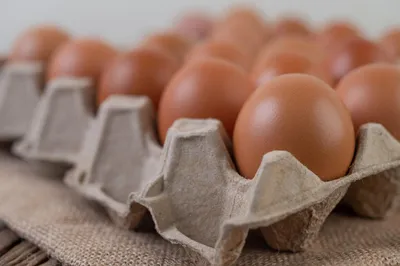 Почему взлетели цены на яйца