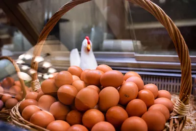 В Москве начали продавать яйца поштучно: подробности — Секрет фирмы