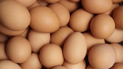 Яйца при похудении: как есть правильно