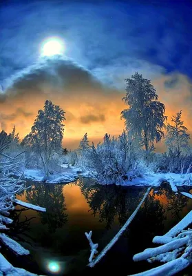 Заснеженный зимний лес с кустами, Россия, Урал, январь Stock-Foto | Adobe  Stock