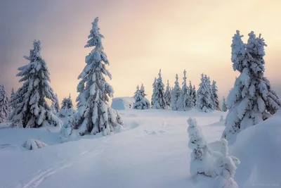 Зима в деревне. Пермский край, январь 2022 год — Фото №1395168