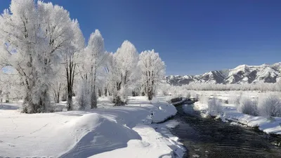 Природа Байкала | Январь 2020 на севере Ольхона