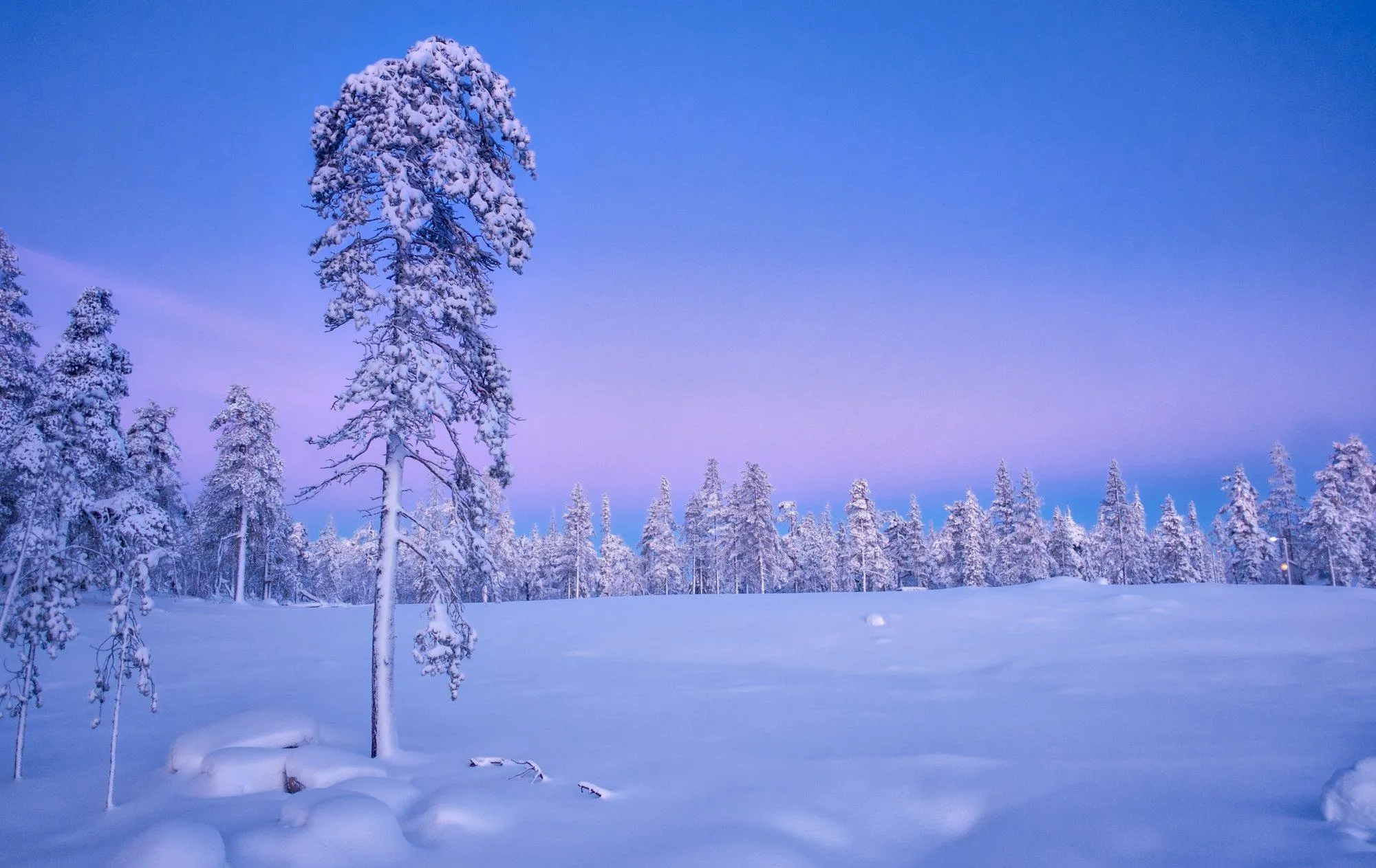 Свежесть зимний. Зимняя природа Эстонии.