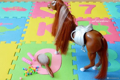 Лошадь на палке — новый безумный вид спорта финских девушек » uCrazy.ru -  Источник Хорошего Настроения