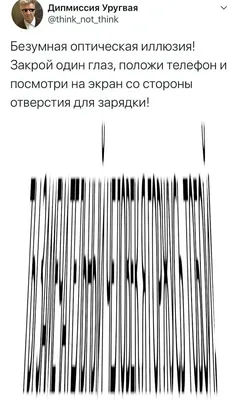 Оптические иллюзии с животными - тест на внимательность за 20 секунд | РБК  Украина