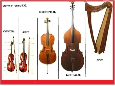 Ударные инструменты симфонического оркестра - YouTube