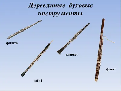 Инструменты симфонического оркестра - Оркестр \"Moscow City