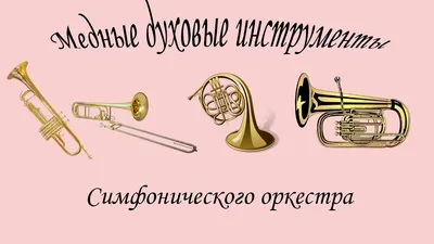 Медные духовые инструменты — Детский музыкальный лекторий «Пикколо»