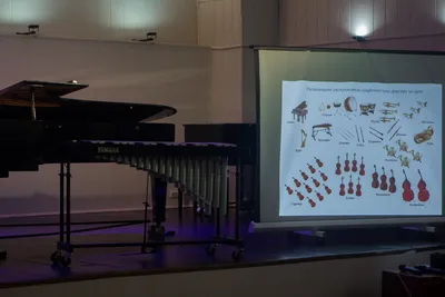 Урок по музыкальной литературе: Группа ударных инструментов симфонического  оркестра - YouTube