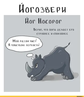 Йога (вино) / смешные картинки и другие приколы: комиксы, гиф анимация,  видео, лучший интеллектуальный юмор.