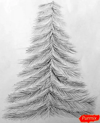 Поэтапное рисование елки для детей - 63 фото