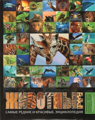 Исчезающие виды животных и угрозы их вымирания | Красный Альманах | Дзен