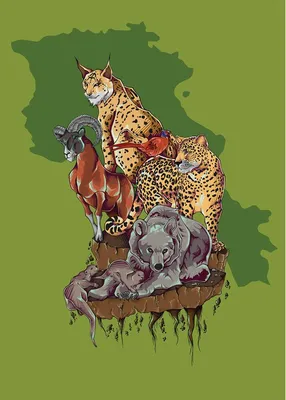 Купить книгу «Книга исчезающих животных для неравнодушных сердец», Милли  Маротта | Издательство «Махаон», ISBN: 978-5-389-16571-7