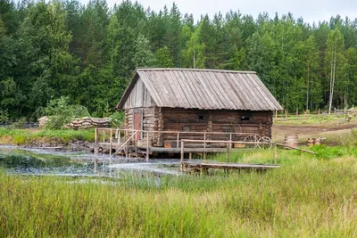 В ущерб книге, но не фильму