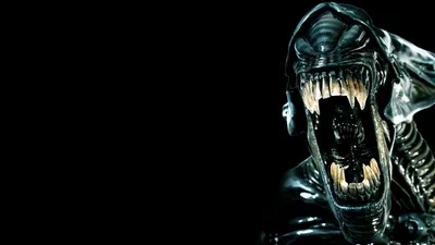 Картина интерьерная на рельефной доске ОСП фильма Чужой (Alien, Элен Рипли,  хоррор, космос, ностромо) - 1800 - купить по низкой цене в  интернет-магазине OZON (844358130)