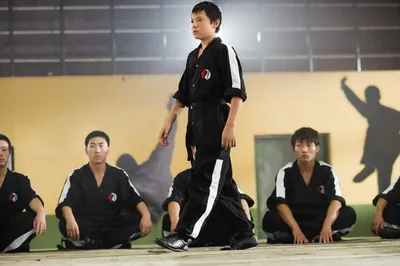 Интересные факты о фильме Каратэ-пацан / The Karate Kid (2010) | Пикабу