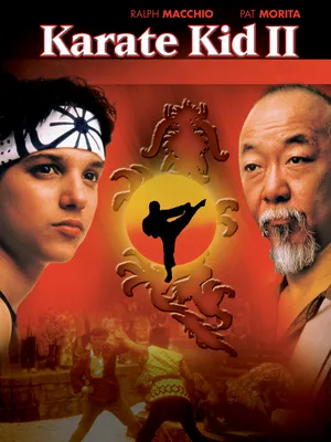 Каратэ-пацан (DVD) - купить фильм /The Karate Kid/ на DVD с доставкой.  GoldDisk - Интернет-магазин Лицензионных DVD.